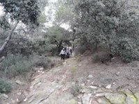 2018-11-12 14.01.46 (Grand)